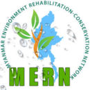 mern-logo