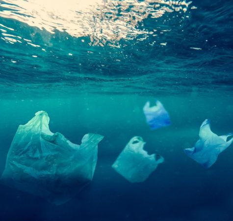 Waste-plastic-bags-in-sea-385383-pixahive