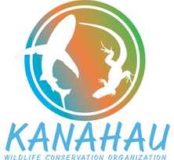 logo-new-kanahau