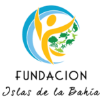 logo FIB